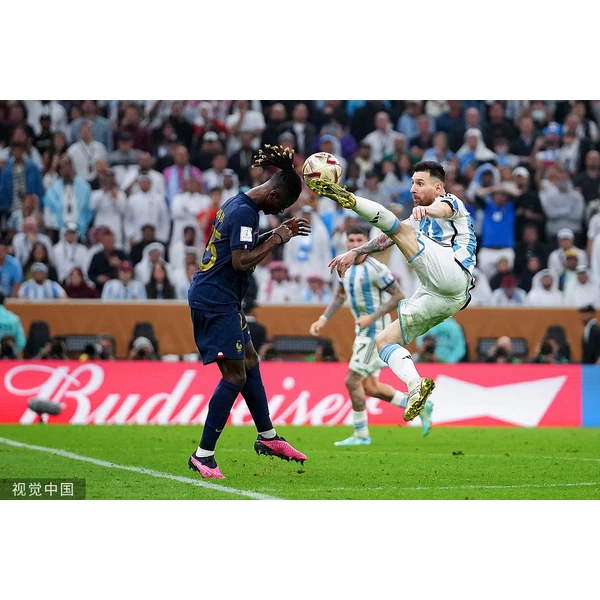 全流程赛事陪伴, 观赛有据可依